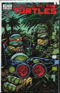 Teenage Mutant Ninja Turtles #43 Cover B (2015)