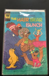 The Hair Bear Bunch #8 (1973)