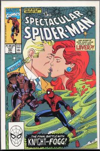 The Spectacular Spider-Man #167 (1990) Spider-Man