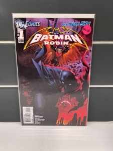 Batman and Robin: Born to Kill (2012)