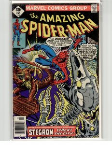 The Amazing Spider-Man #165 (1977) Spider-Man