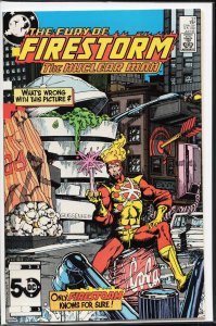 The Fury of Firestorm #37 (1985) Firestorm