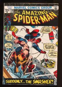 Amazing Spider-Man (1963 series) #116, VF (Actual scan)