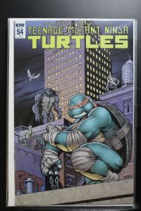 Teenage Mutant Ninja Turtles #54 Cover RI (2015)