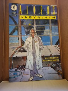Aliens: Labyrinth #1 (1993)