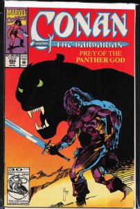 Conan the Barbarian #262 (1992) Conan