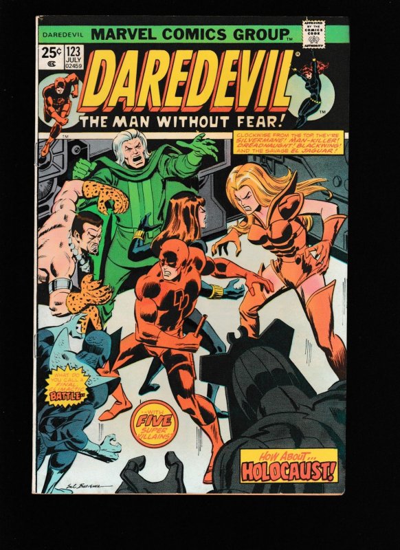 Daredevil #92,94,95,103,110,112,114,122,123,124 Vintage (1972-1975)