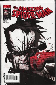 The Amazing Spider-Man #576 (2009)