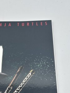 Teenage Mutant Ninja Turtles The Last Ronin #1 2nd Print IDW comics Excellent