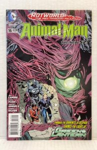 Animal Man #16 (2013)