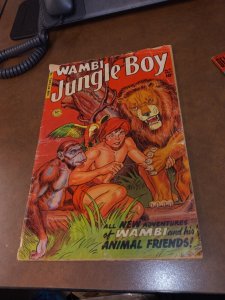 Wambi, Jungle Boy #13 Golden age 1951 magazine Enterprises pre-code comics me