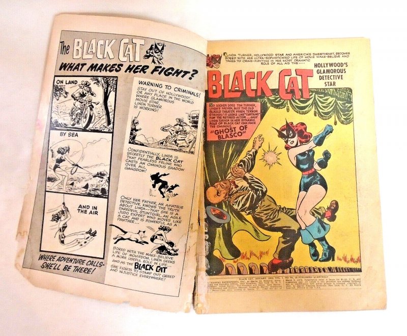 Black Cat #64 Giant