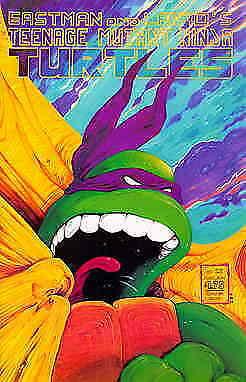 Teenage Mutant Ninja Turtles (1st Series) #22 FN; Mirage | save on shipping - de