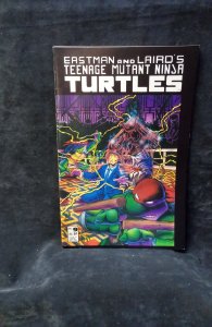 Teenage Mutant Ninja Turtles #9 (1986)