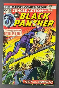 Jungle Action (1972) #16 FN+ (6.5) Black Panther Gil Kane