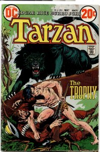 Edgar Rice Burroughs' Tarzan #218 (1973)