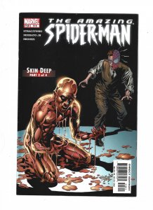 The Amazing Spider-Man #516 (2005) b1