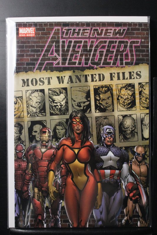 The New Avengers: Most Wanted Files (2006)