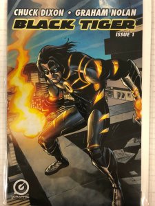 Black Tiger #1 Comic Book Graphic India 2015