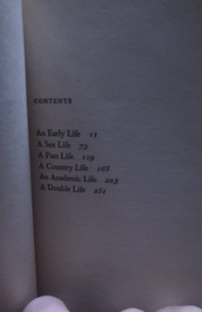 The glittering prizes, RAPHAEL, 1977, 297p