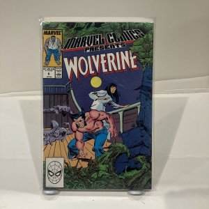 MARVEL COMICS PRESENTS WOLVERINE #6