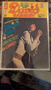 David Cassidy #10 (1973)