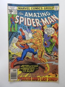 The Amazing Spider-Man #173 (1977) VG Condition!