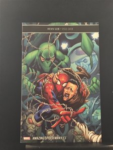 The Amazing Spider-Man #13 (2019)