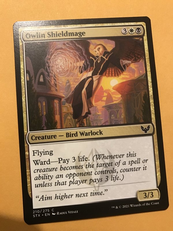 OWLIN SHIELDMAGE : Magic the Gathering MTG card / STRIXHAVEN, NM