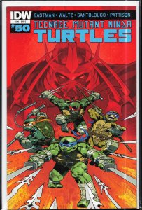 Teenage Mutant Ninja Turtles #50 Cover C (2015)