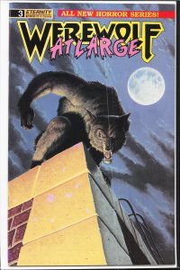 Werewolf at Large #3 (1989)