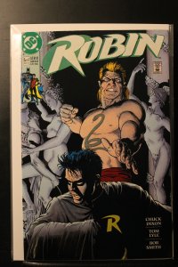 Robin #5 (1991)