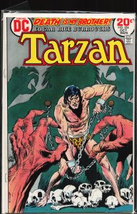 Edgar Rice Burroughs' Tarzan #224 (1973)