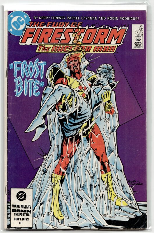 The Fury of Firestorm #20 (1984) Firestorm