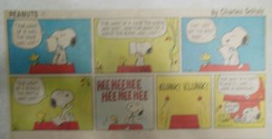 (49) Peanuts Sunday Pages by Charles Schulz from 1980 Size: ~7.5 x 14 inches  