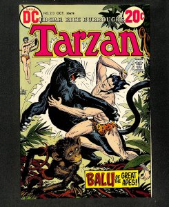 Tarzan (1972) #213