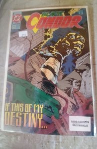 Black Condor #6 (1992)