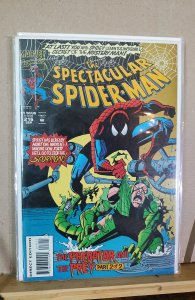 The Spectacular Spider-Man #216 (1994)