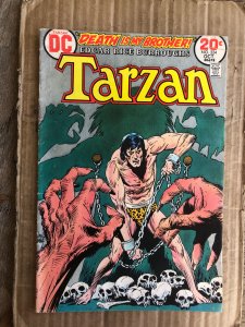 Edgar Rice Burroughs' Tarzan #224 (1973)