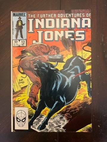 The Further Adventures of Indiana Jones #12 (1983) - NM