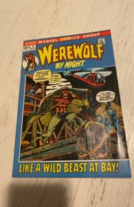 Werewolf by Night #2 (1972)Like a wild beast at bay - VF