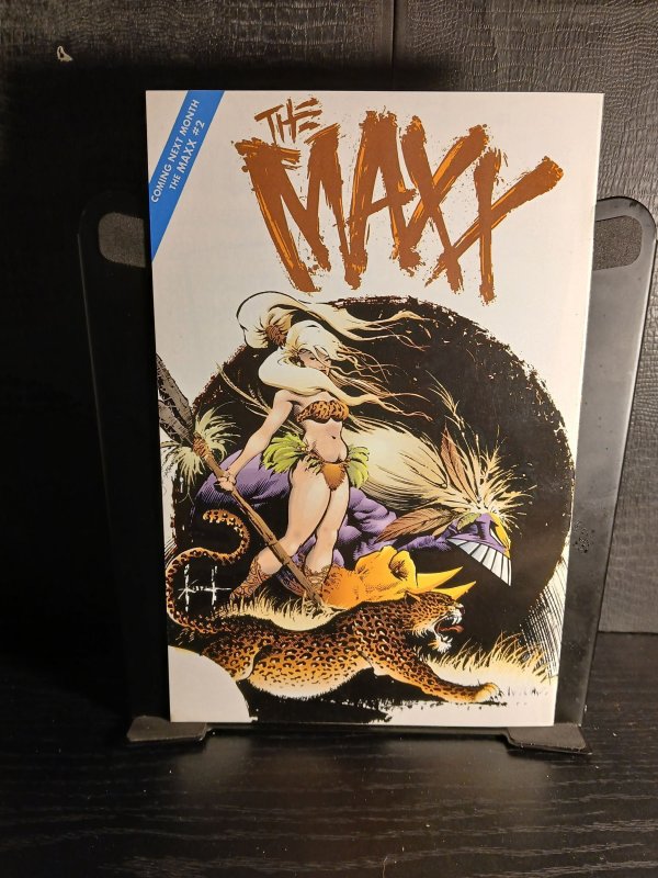 The Maxx #1 (1993)