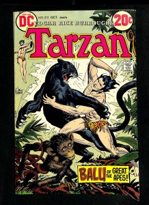 Tarzan (1972) #213