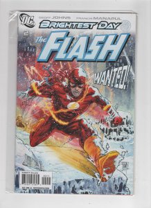 The Flash #2 (2010)