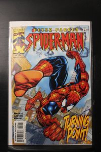 Peter Parker: Spider-Man #19 Direct Edition (2000)