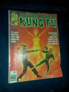 DEADLY HANDS OF KUNG FU #24 Marvel magazine 1976 IRON FIST cover & pin-up poster