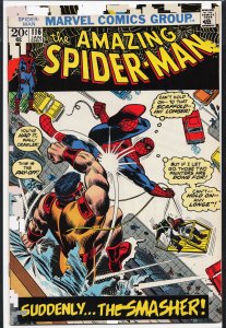 The Amazing Spider-Man #116 (1973) Spider-Man