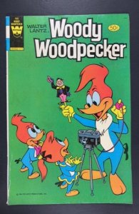 Walter Lantz Woody Woodpecker #195 (1981)