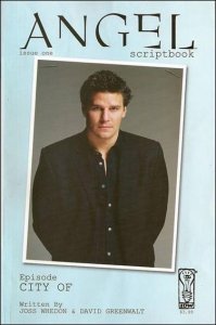 IDW Publishing Scriptbooks: Angel #1A VF ; IDW | City Of