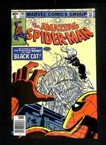 Amazing Spider-Man #205 Black Cat!